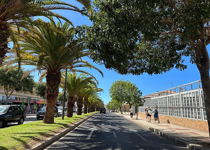 Apartment In Ocean Park Ii, Costa Adeje, Tenerife Costa Adeje (Tenerife)
